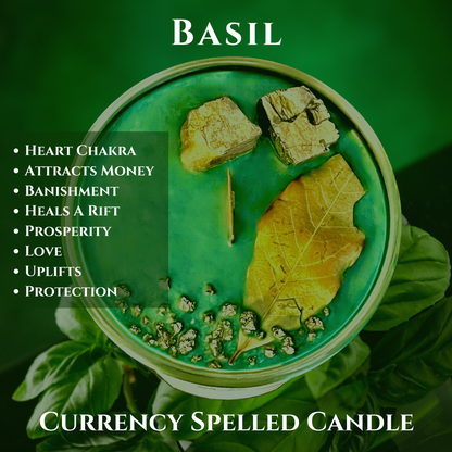 Alchemy7 | Currency - Money Spell Candle for Abundance, Prosperity, and Wealth - Vela de Hechizo de Dinero
