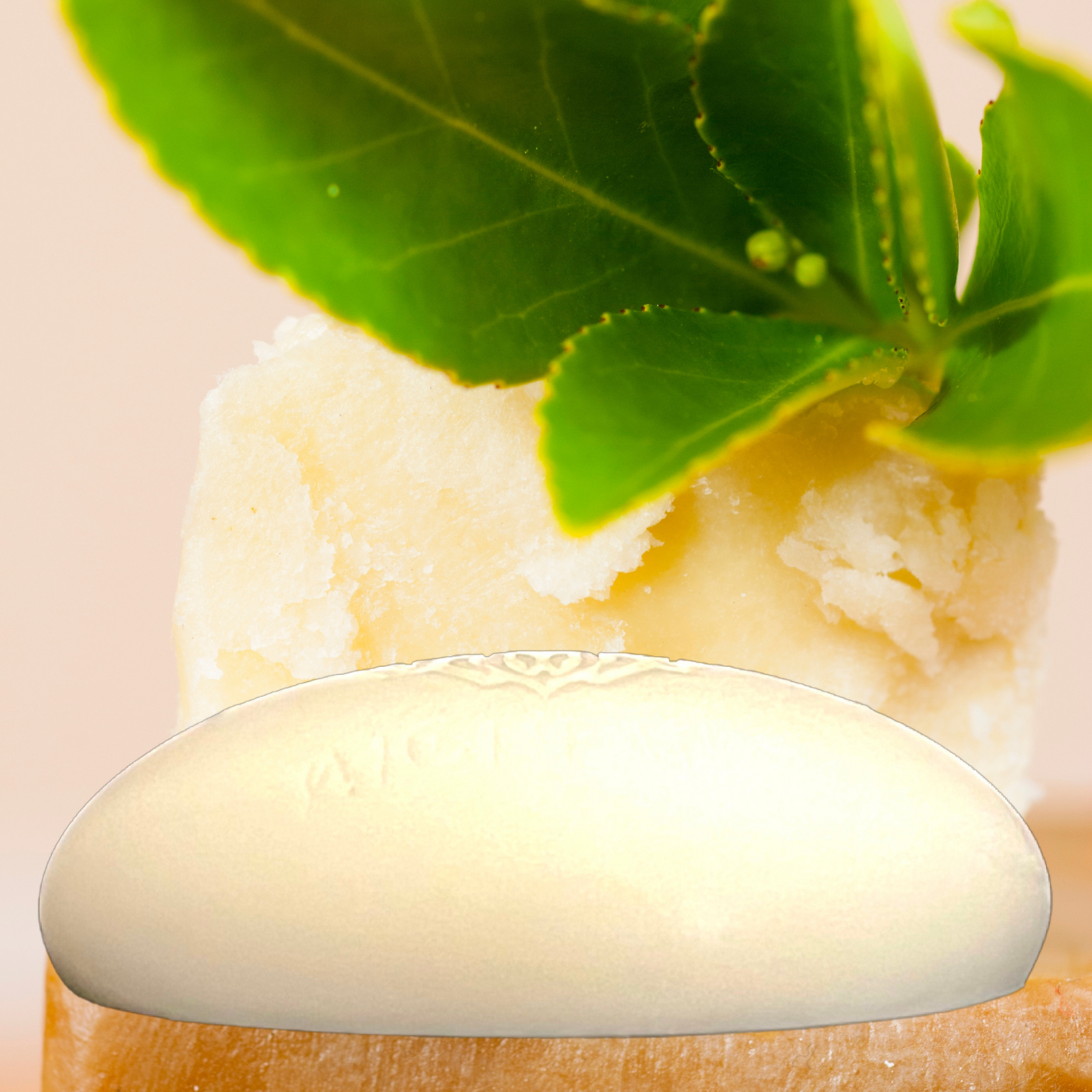 Alchemy7 | Pure Shea Butter Soap - Nourishing Shea Butter Soap - Embrace Silky, Radiant Skin