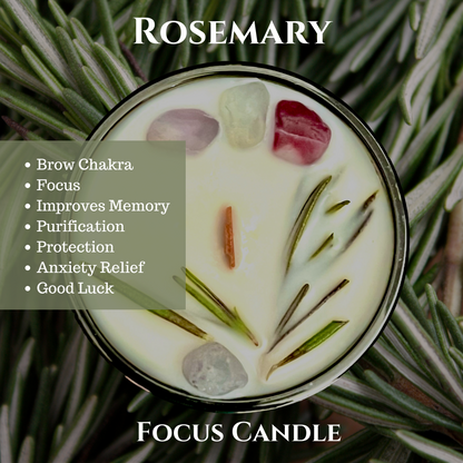 Focus - Sample Candle