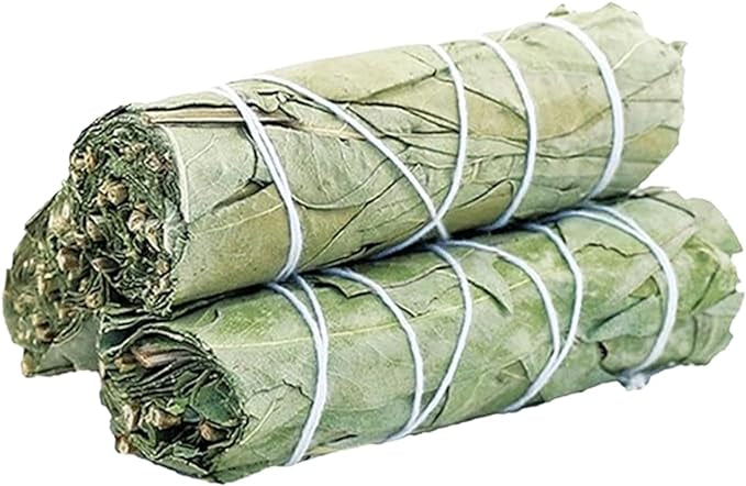 Eucalyptus Sage Stick